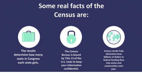 Census Facts.jpg