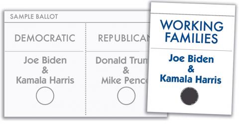 Vote Biden Harris on WFP line.jpg