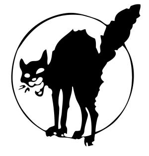11-IWW-The-Black-Cat-Sabo-Tabby.jpg