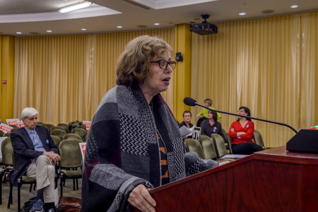 Lorraine Cohen at CUNY Board meeting