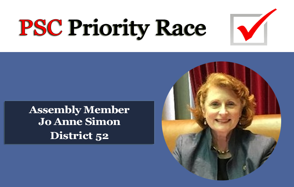 Priority Race 2024_Assembly Member Jo Anne Simon District 52