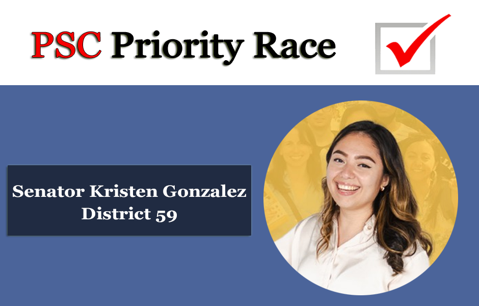 Priority Race 2024_Senator Kristen Gonzalez District 59