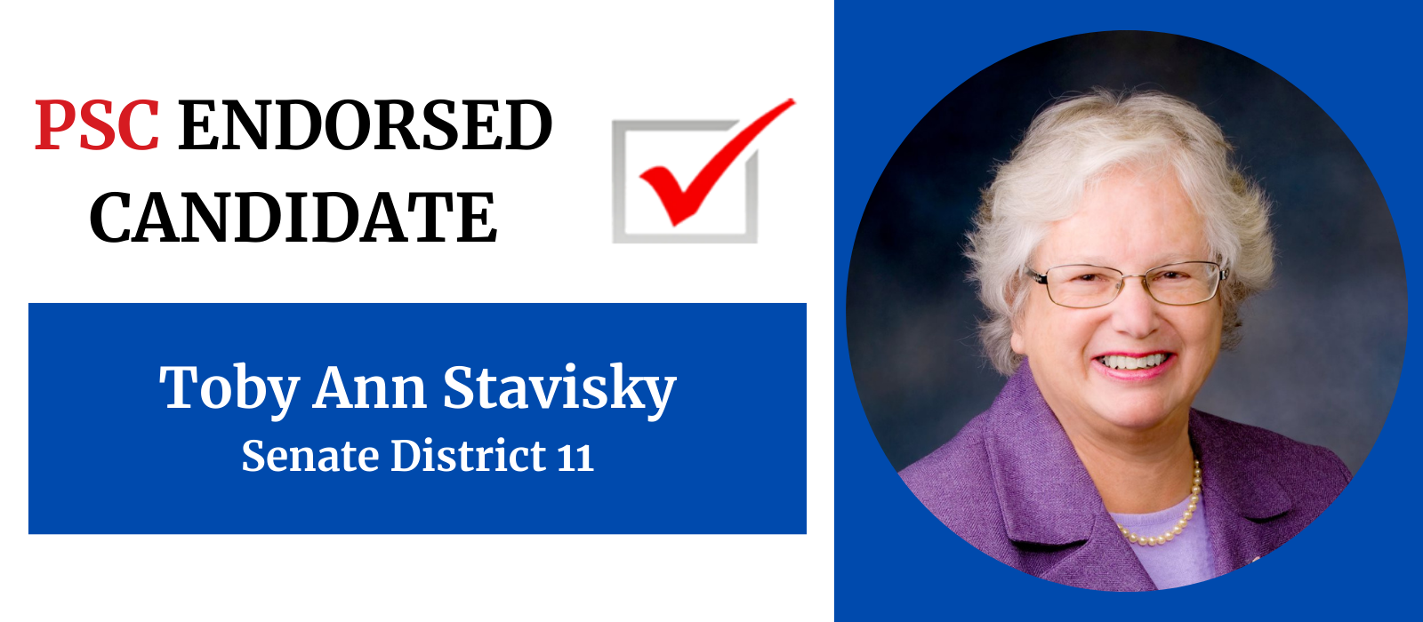 SD 11 Toby Ann Stavisky