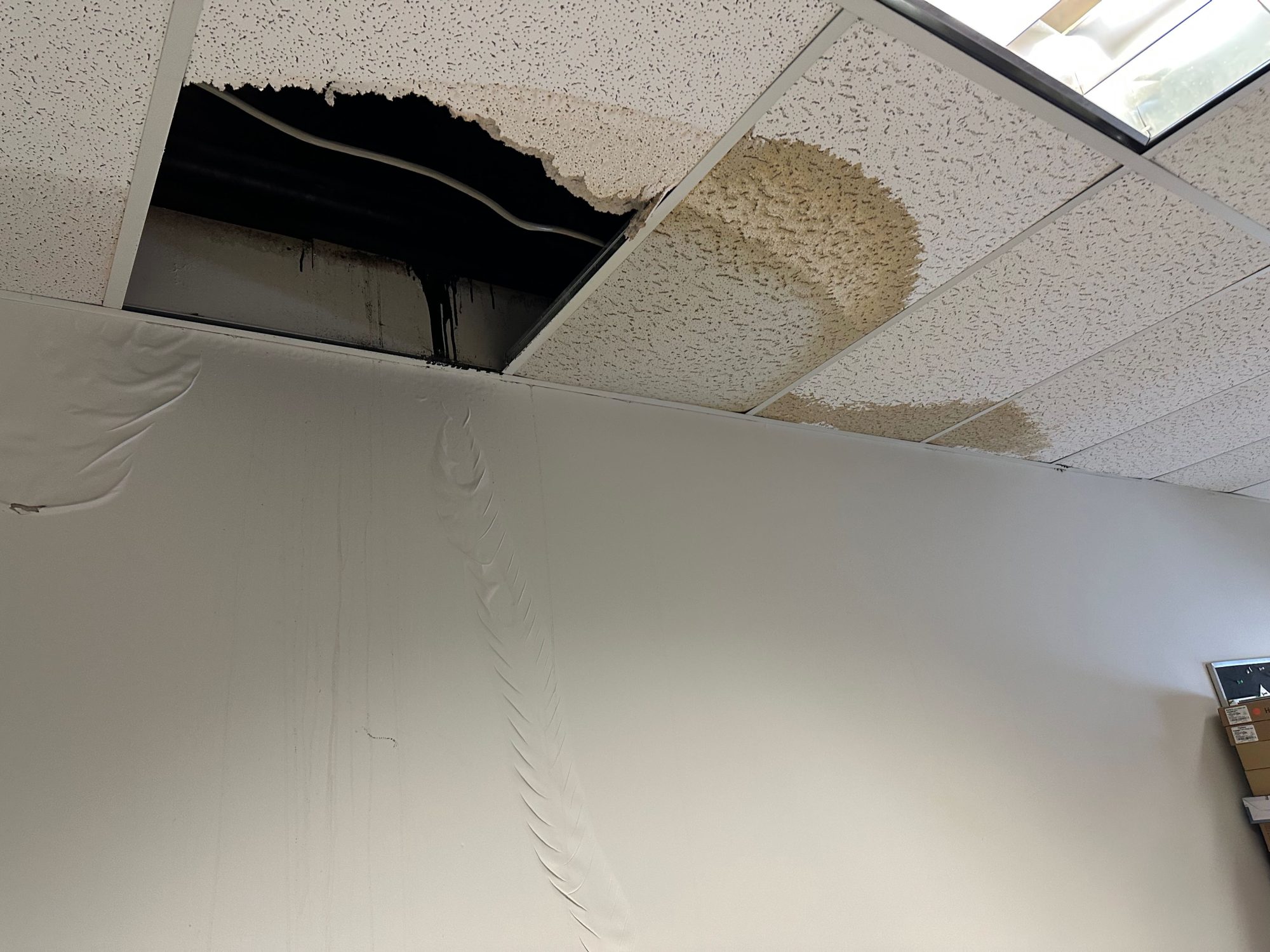 Health and Safety issues at City Tech