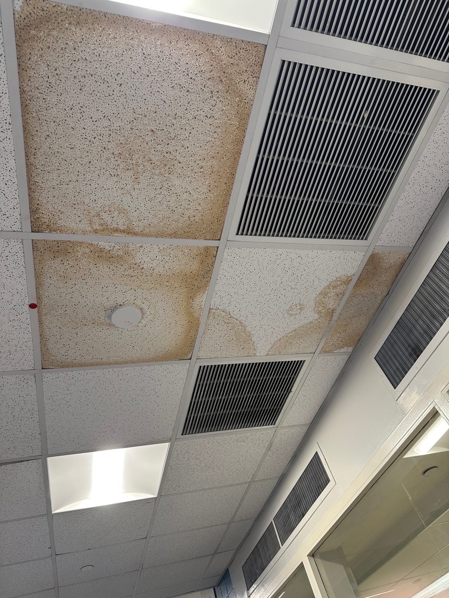 Health and Safety issues at City Tech