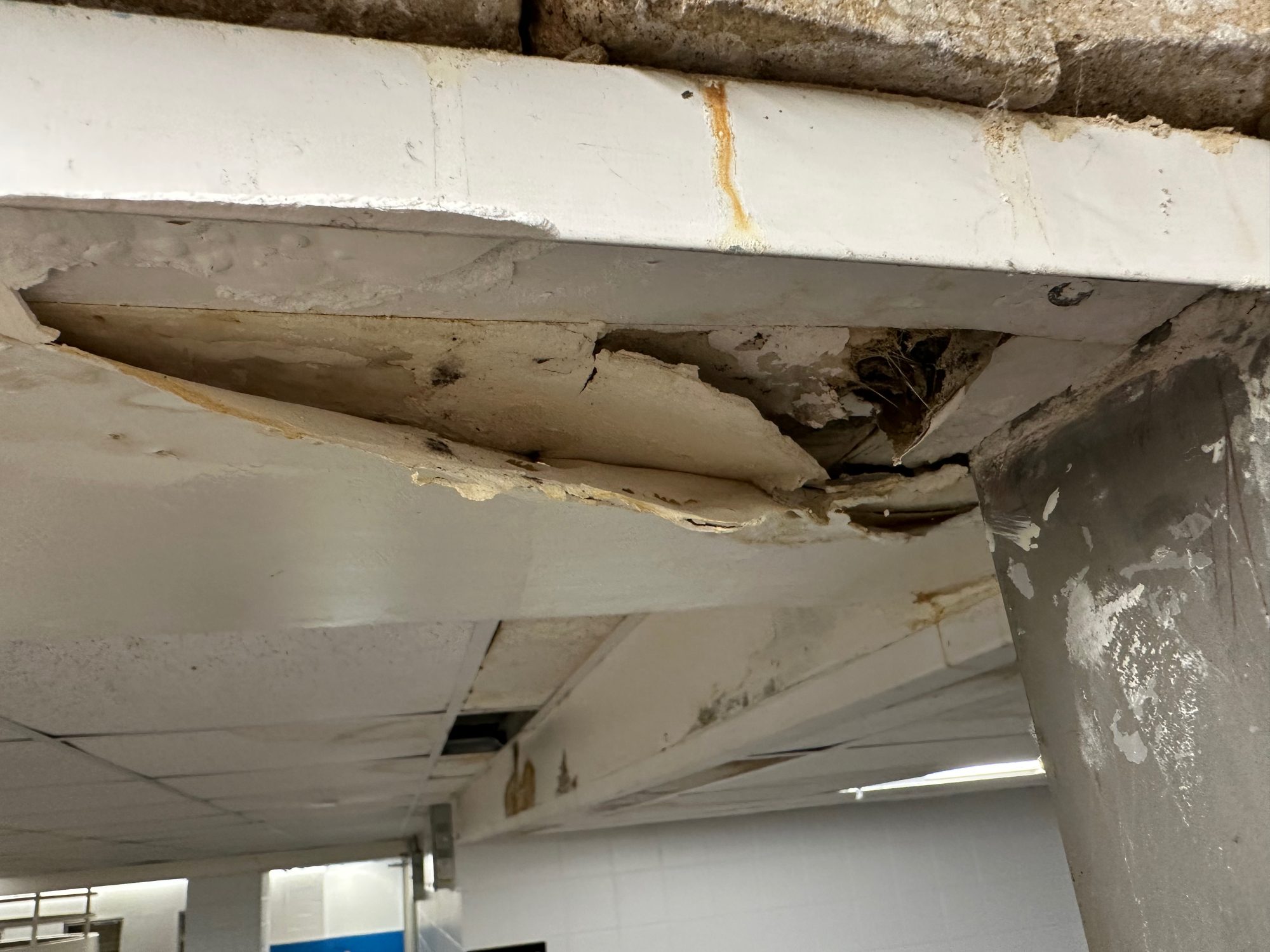 Health and Safety issues at City Tech